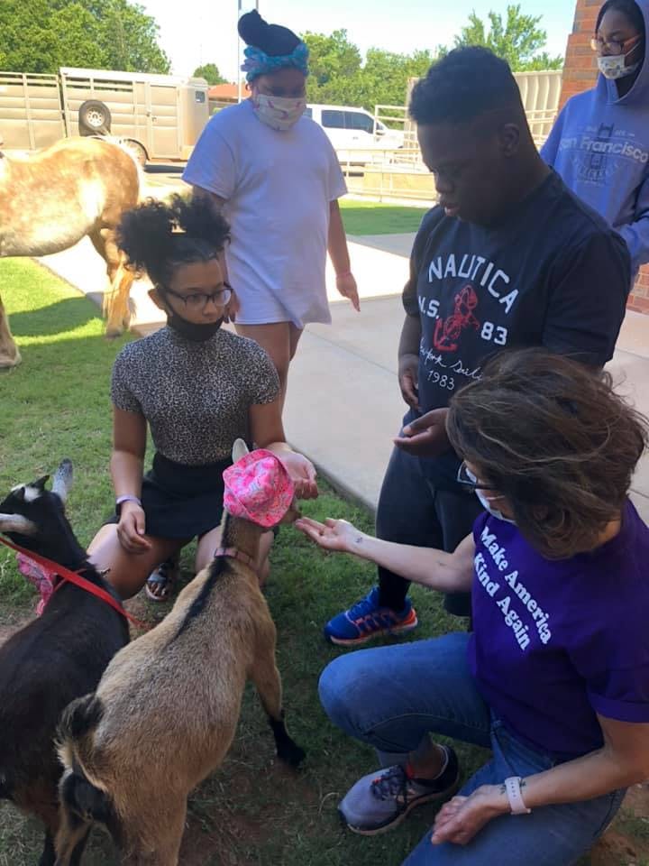 People interacting with goats outdoors