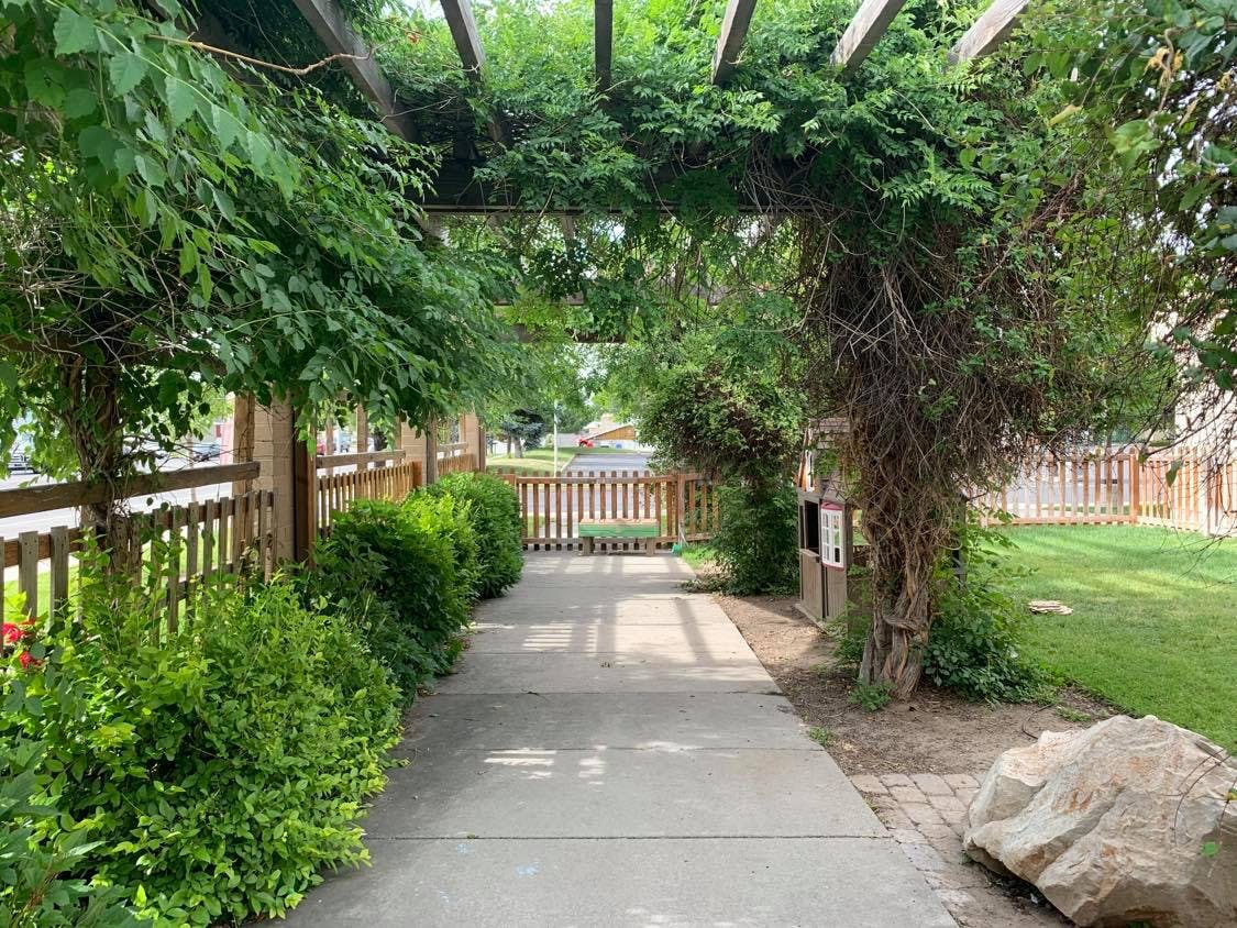 Concrete path under a wooden pergola covered in green vines