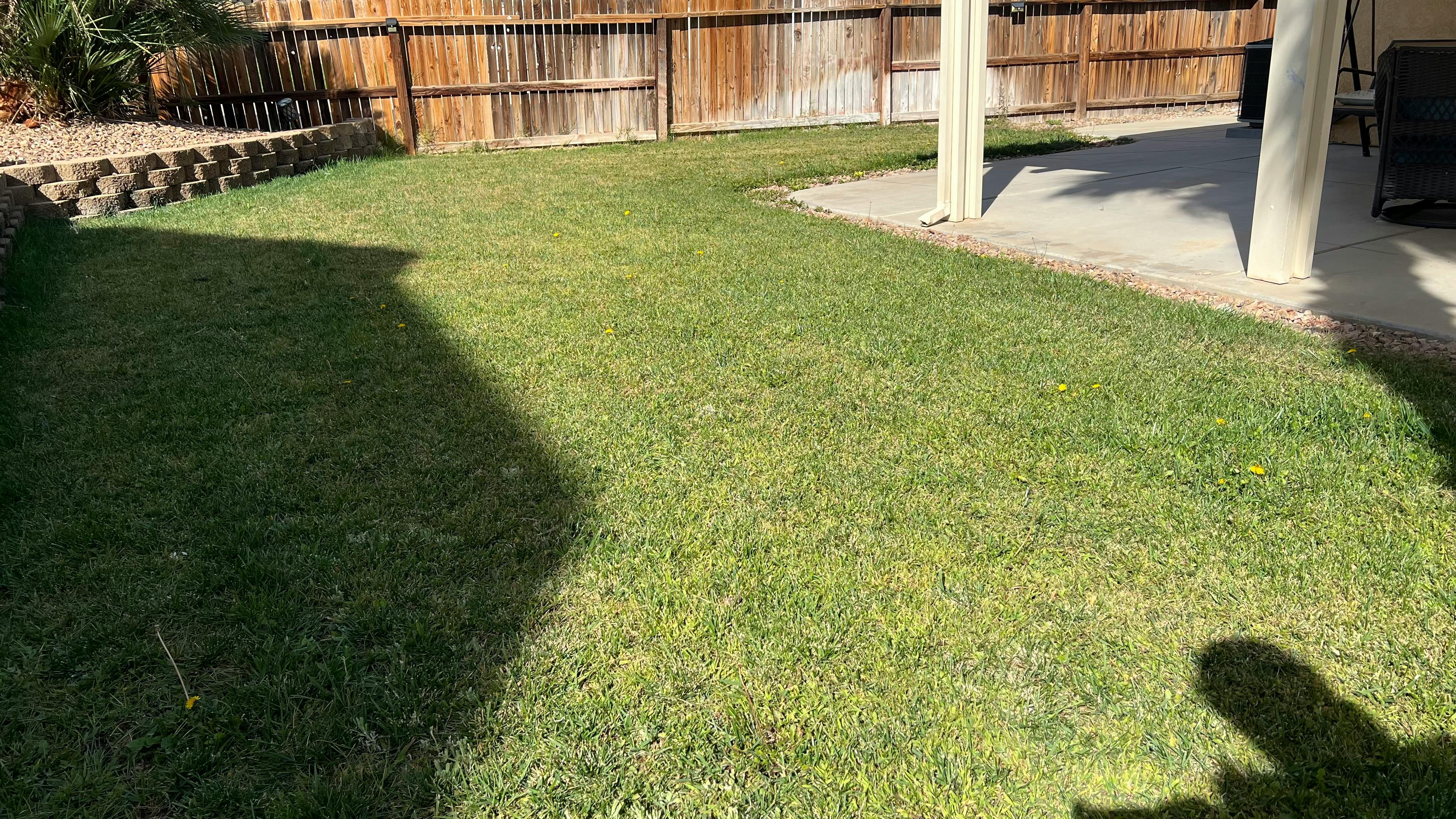 Grassy backyard with a wooden fence and a patio