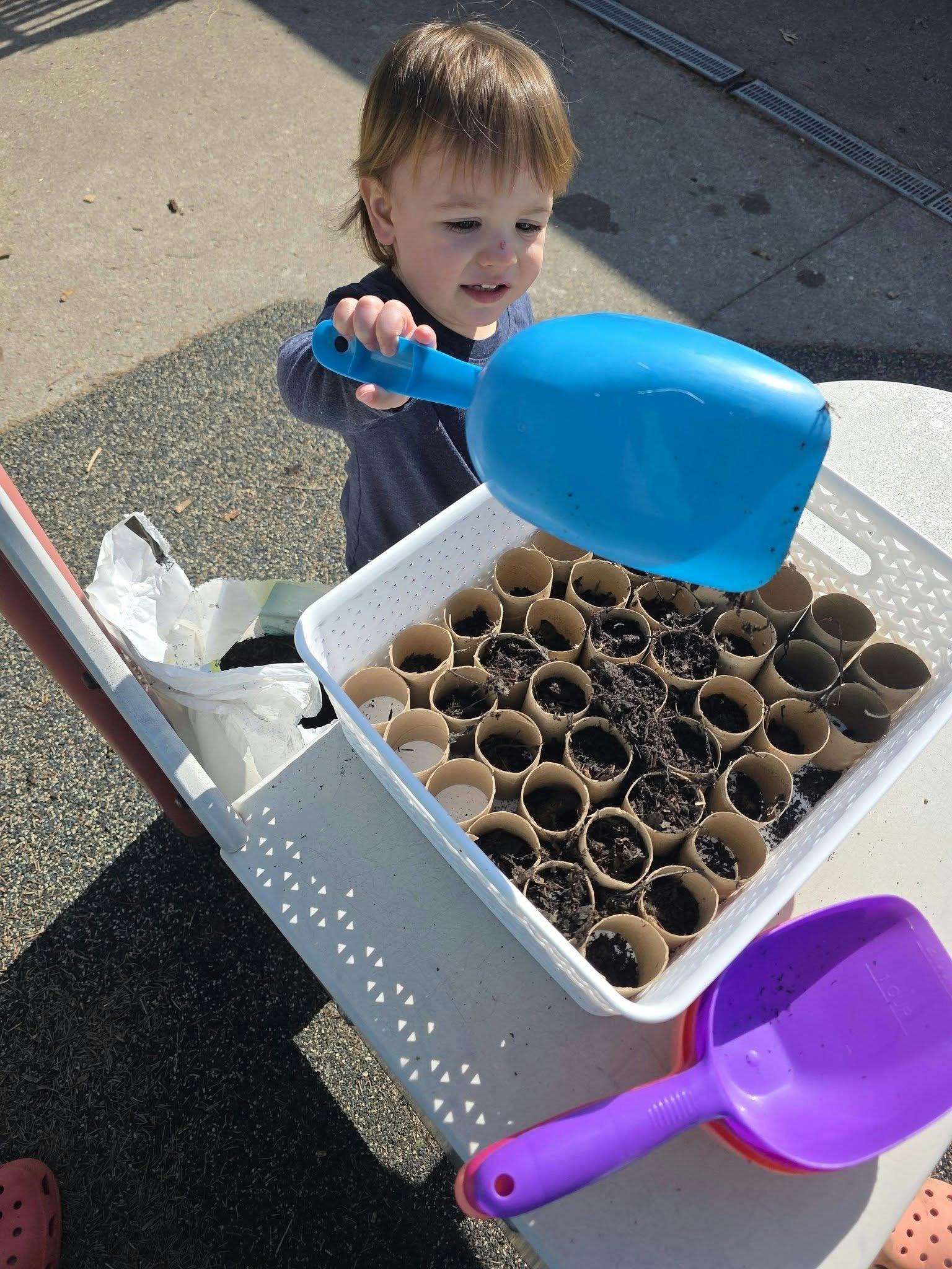 Child using a plastic scoop to fill cardboard tube planters with soil