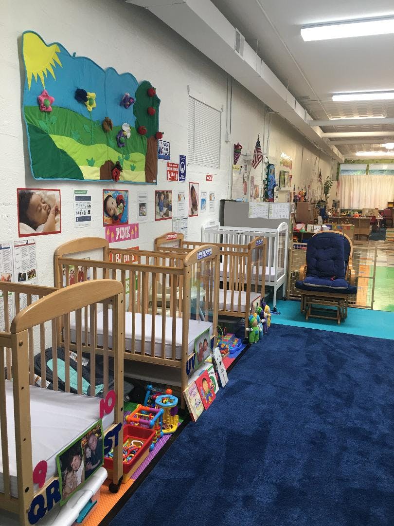Multiple cribs in a room with a blue rug and wall decorations