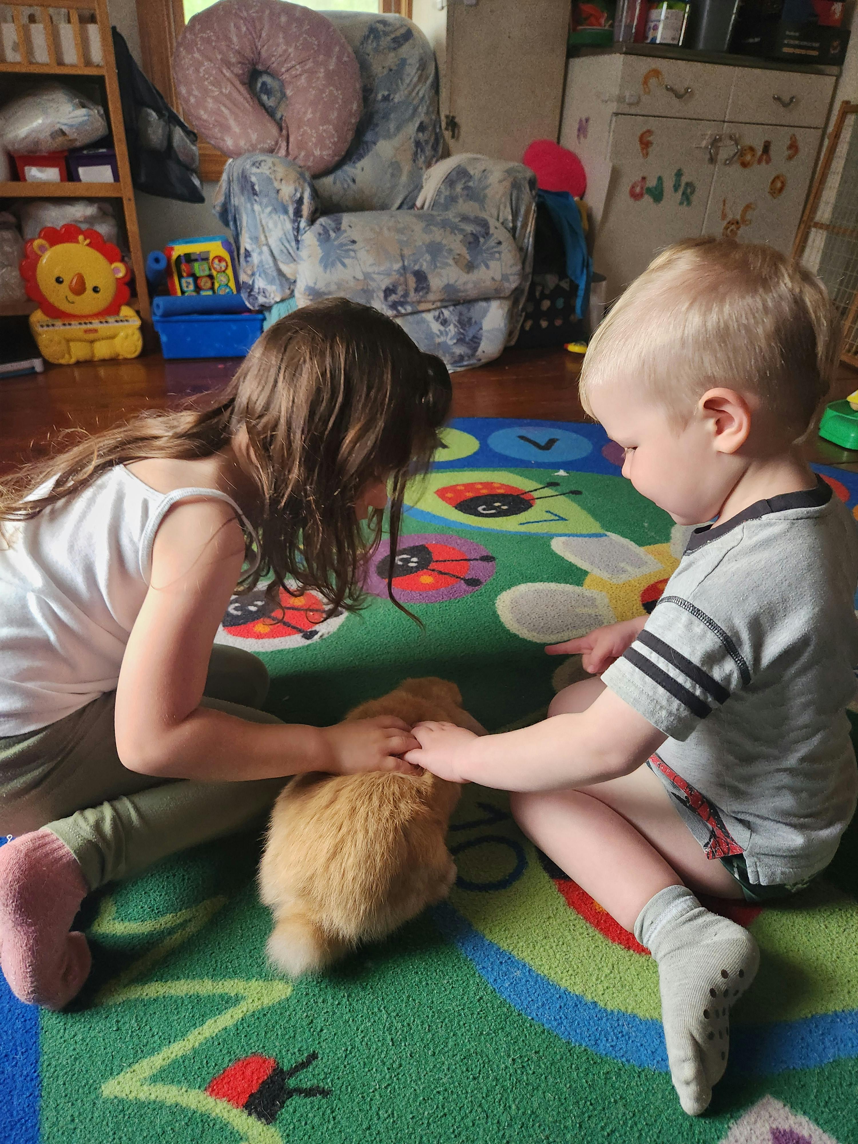 Two children petting a rabbit on a rug