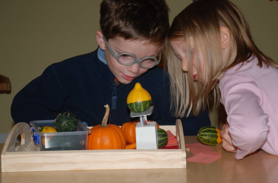 Two children looking at gourds on a tray