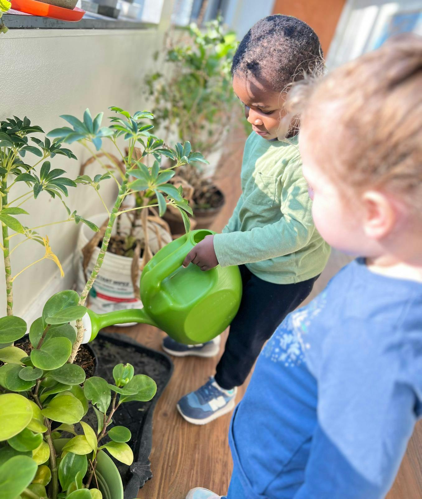 Child watering plants with a green watering can