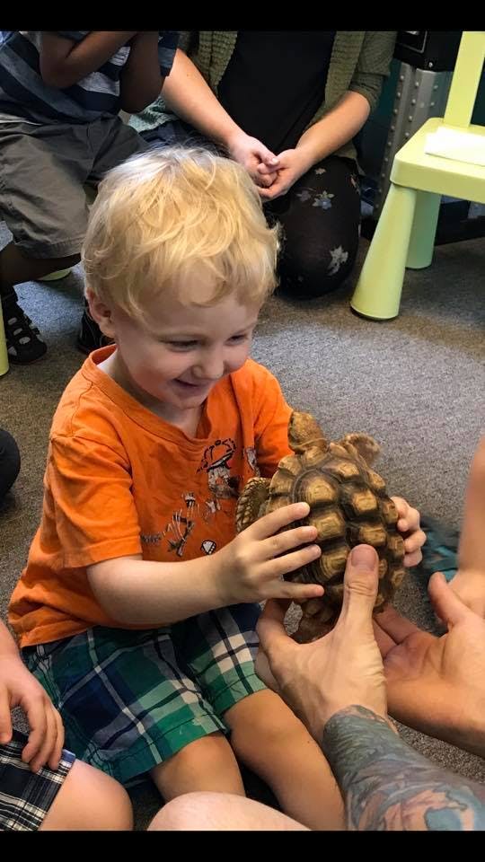 Child holding a tortoise with a tortoise with a tortoise