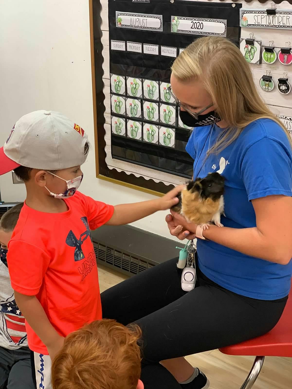 Person holding a guinea pig while a child reaches out to pet it