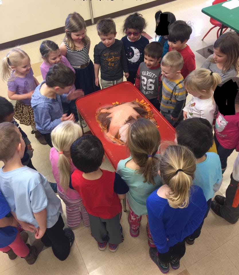 Group of children gathered around a red tray with a human torso model