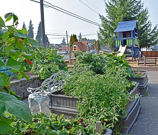 Community garden with raised beds, a bench, and a play structure in the background