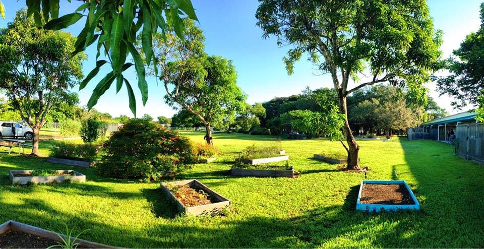 Garden with raised beds in a grassy area with trees