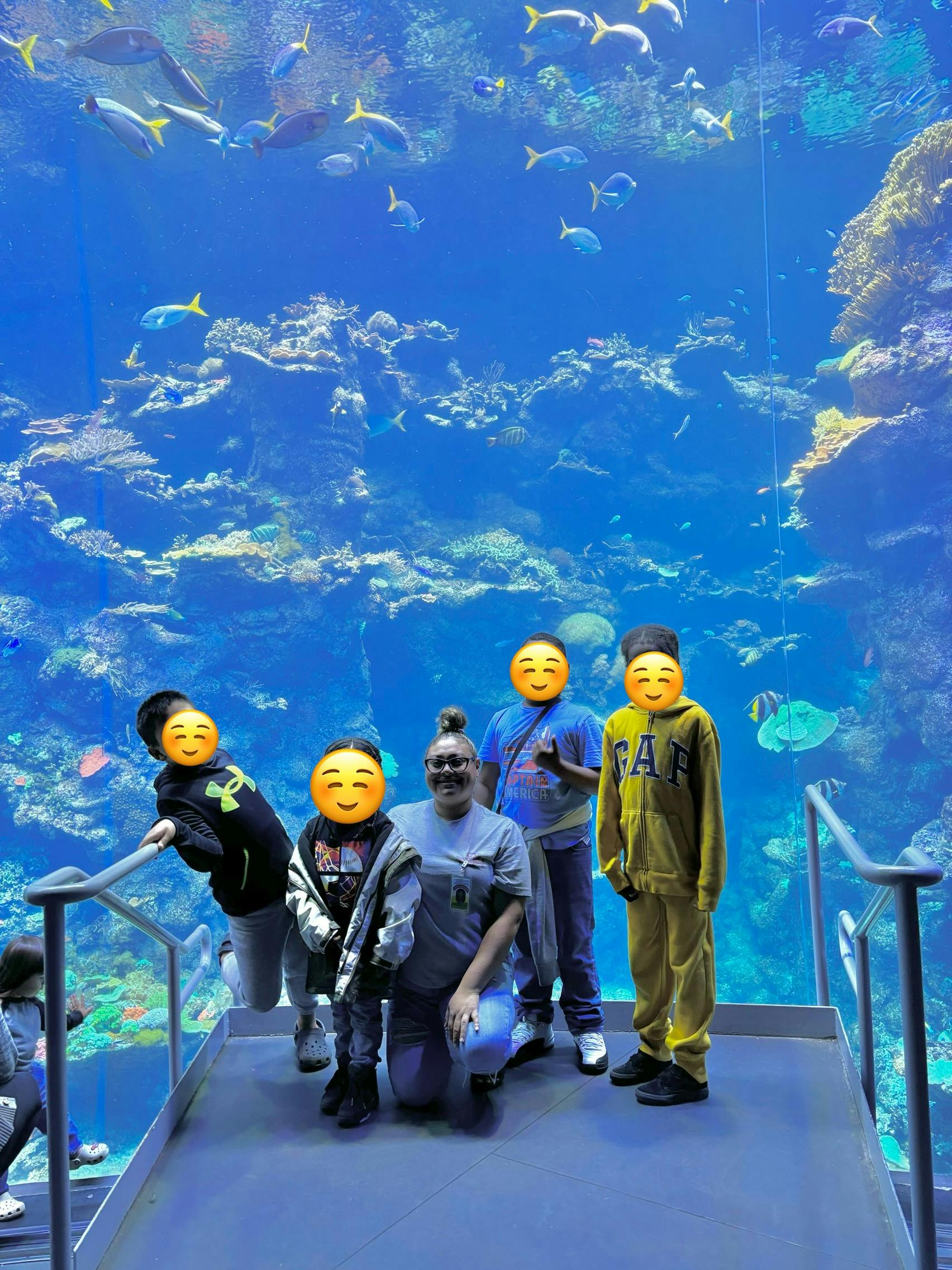 People standing on a platform in front of a large aquarium with fish and coral