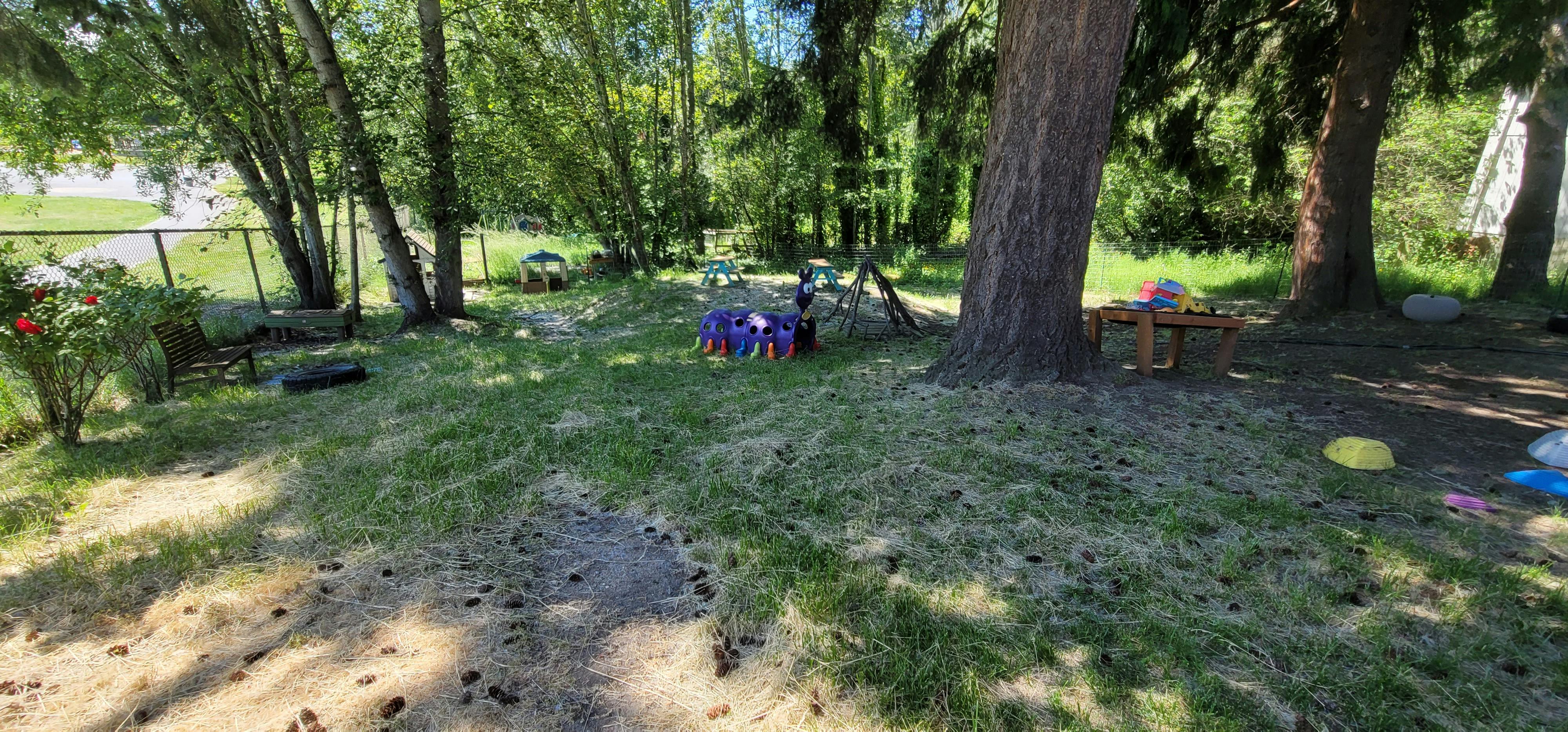 Grassy outdoor area with trees and play equipment