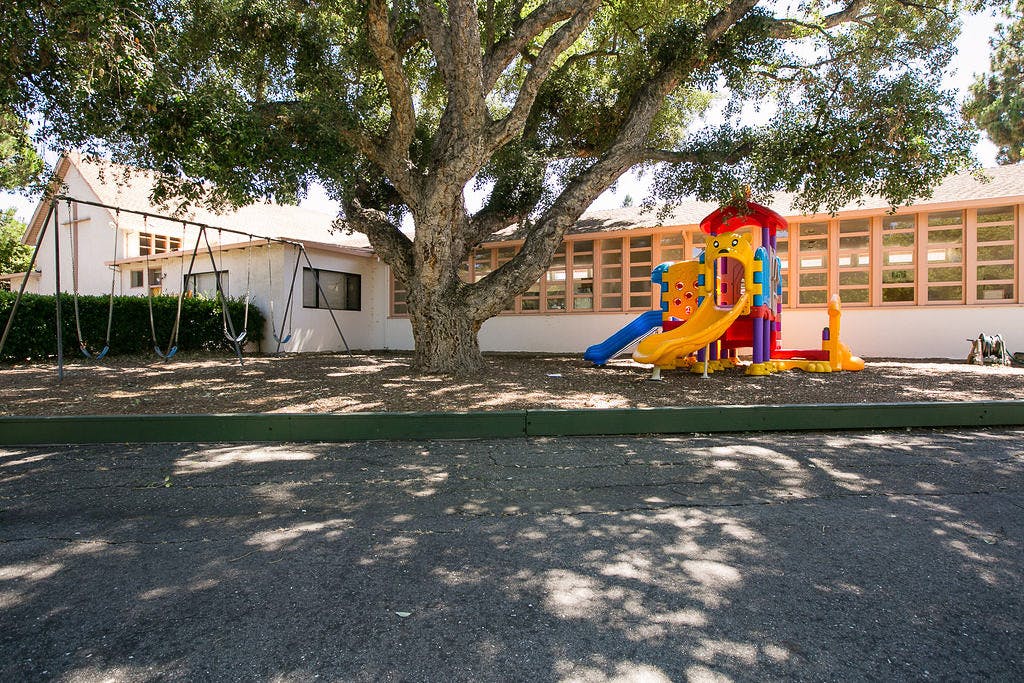 Playground with swings and a colorful slide structure under a large tree