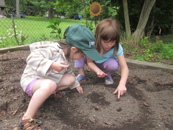 Two children planting in a garden