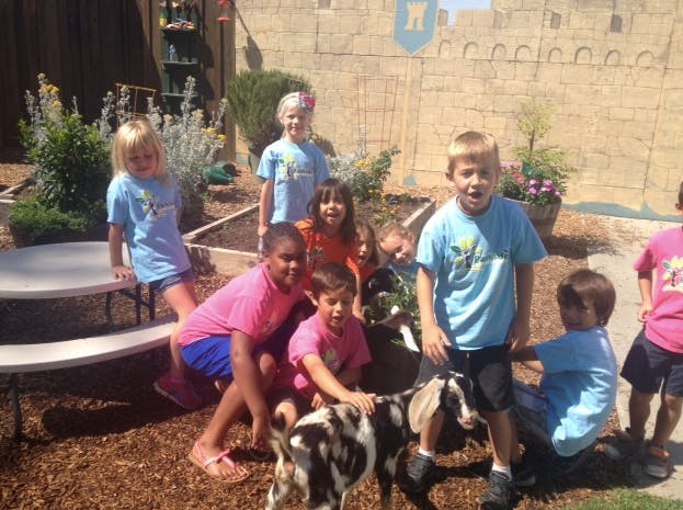 Children with goats in an outdoor setting