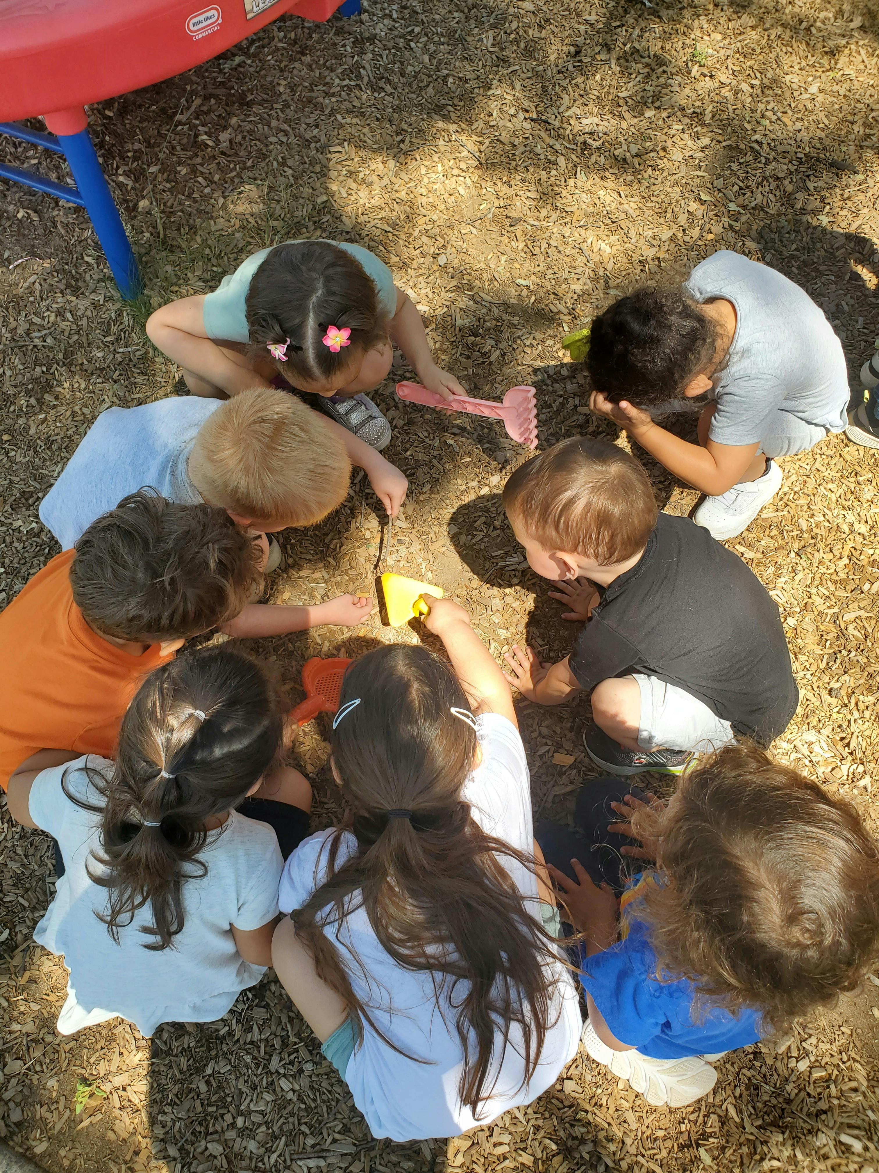 Group of children gathered around a small object on the ground