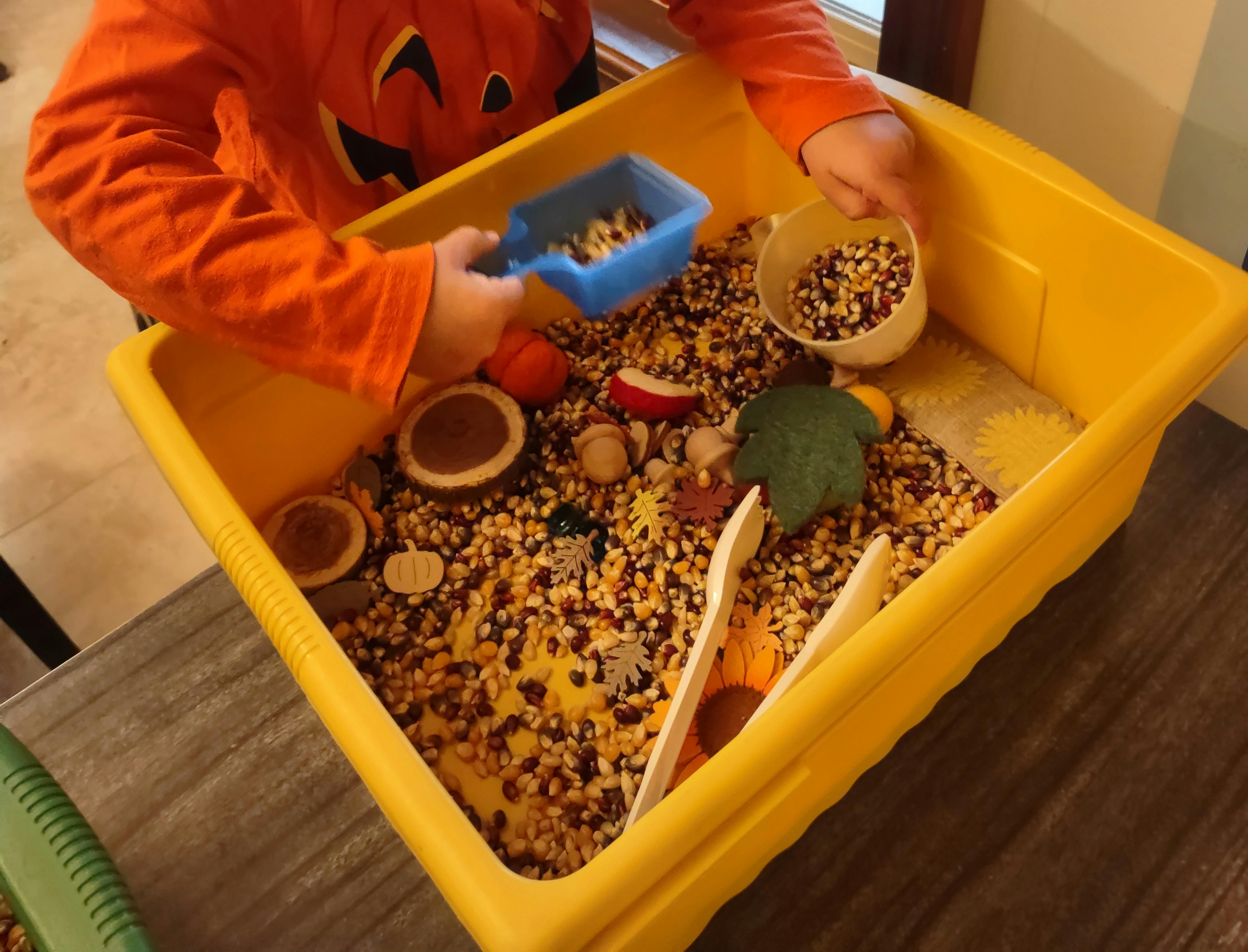 Child in orange shirt playing with a sensory bin of corn kernels and fall-themed objects