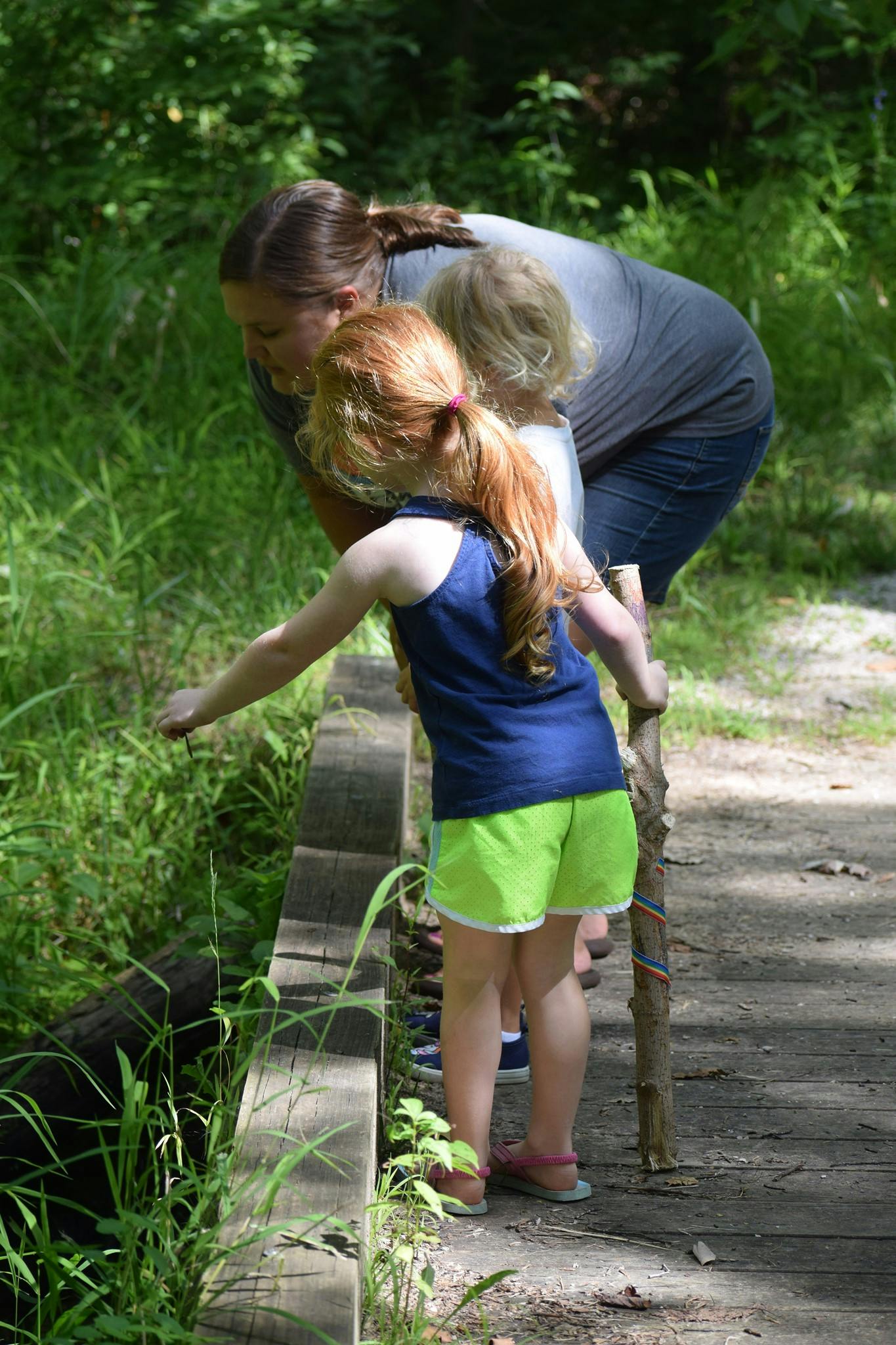 Adult and child looking at plants from a wooden walkway