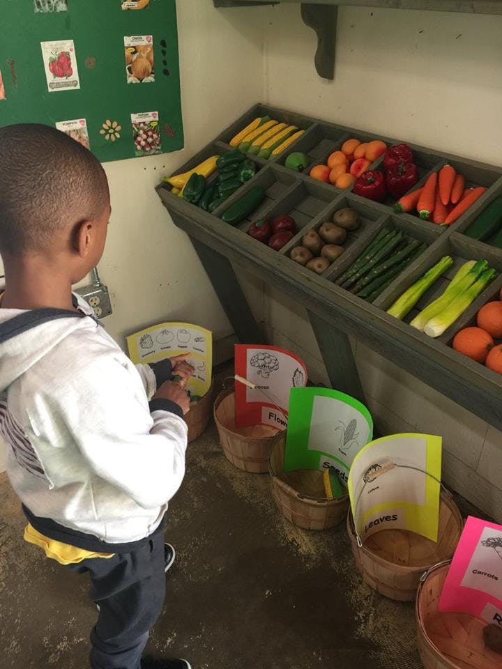 Child looking at a display of produce in-season produce