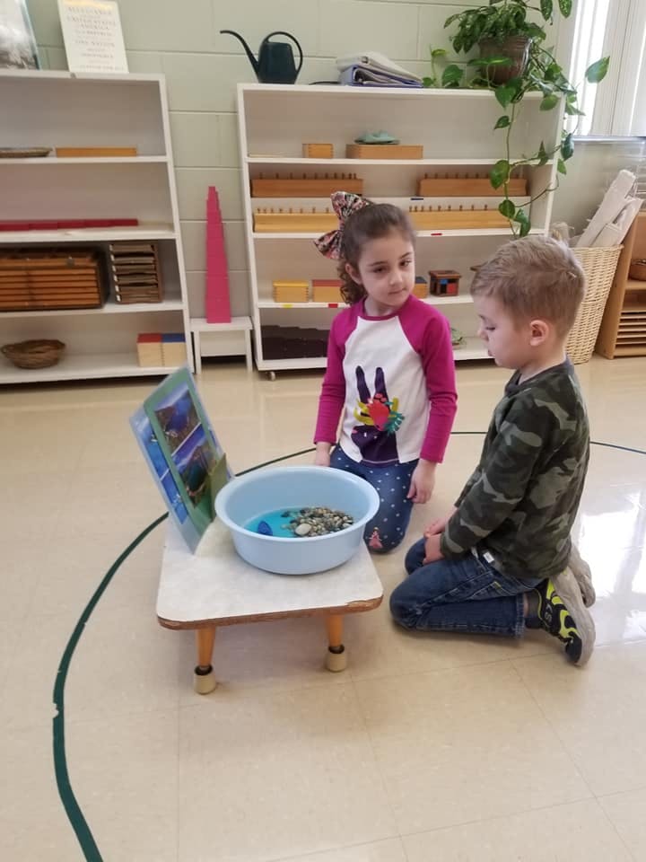 Two children kneeling on the floor looking at a bowl of rocks and water