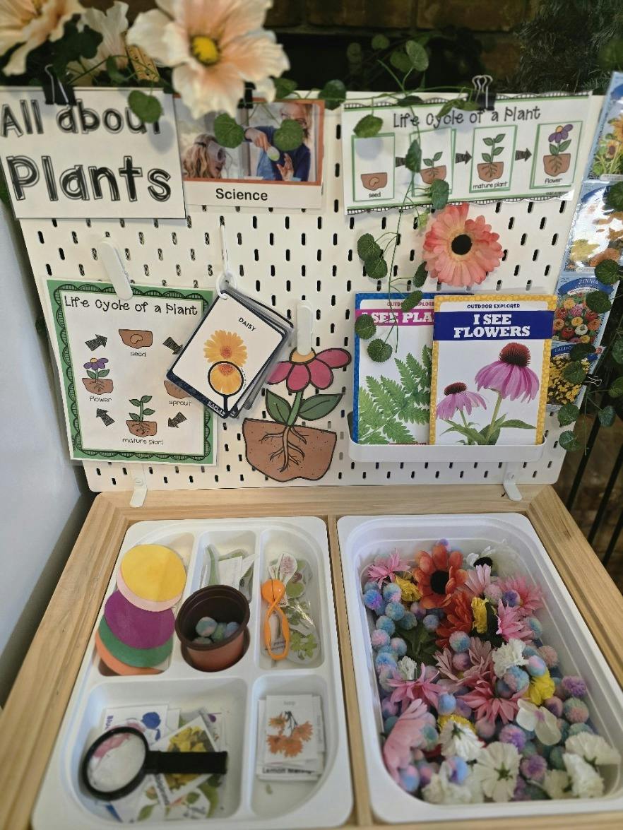 Pegboard display with plant science learning materials and sensory play station