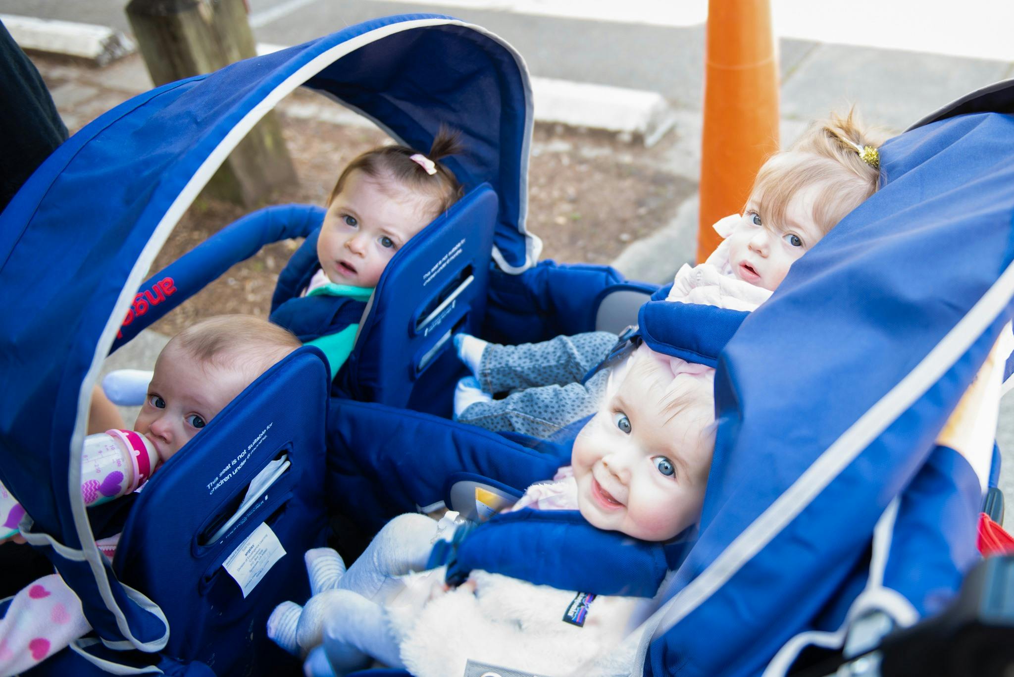 Multiple babies in a blue stroller