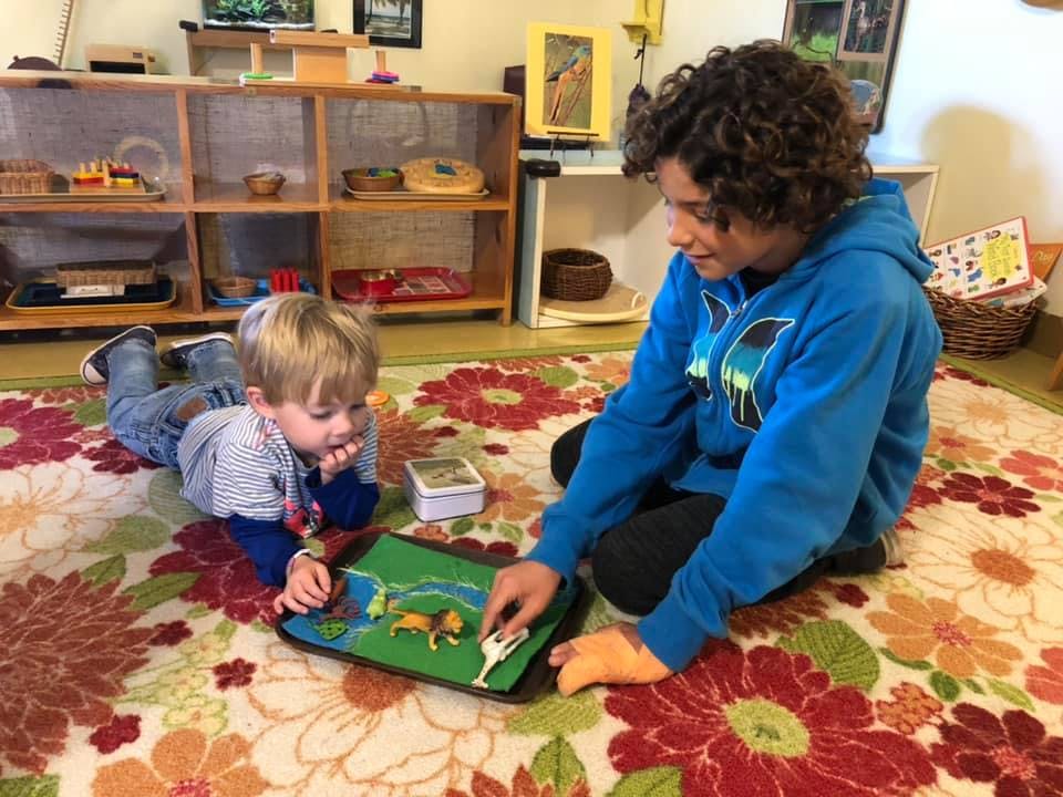Teen and child playing with animal figures on a mat