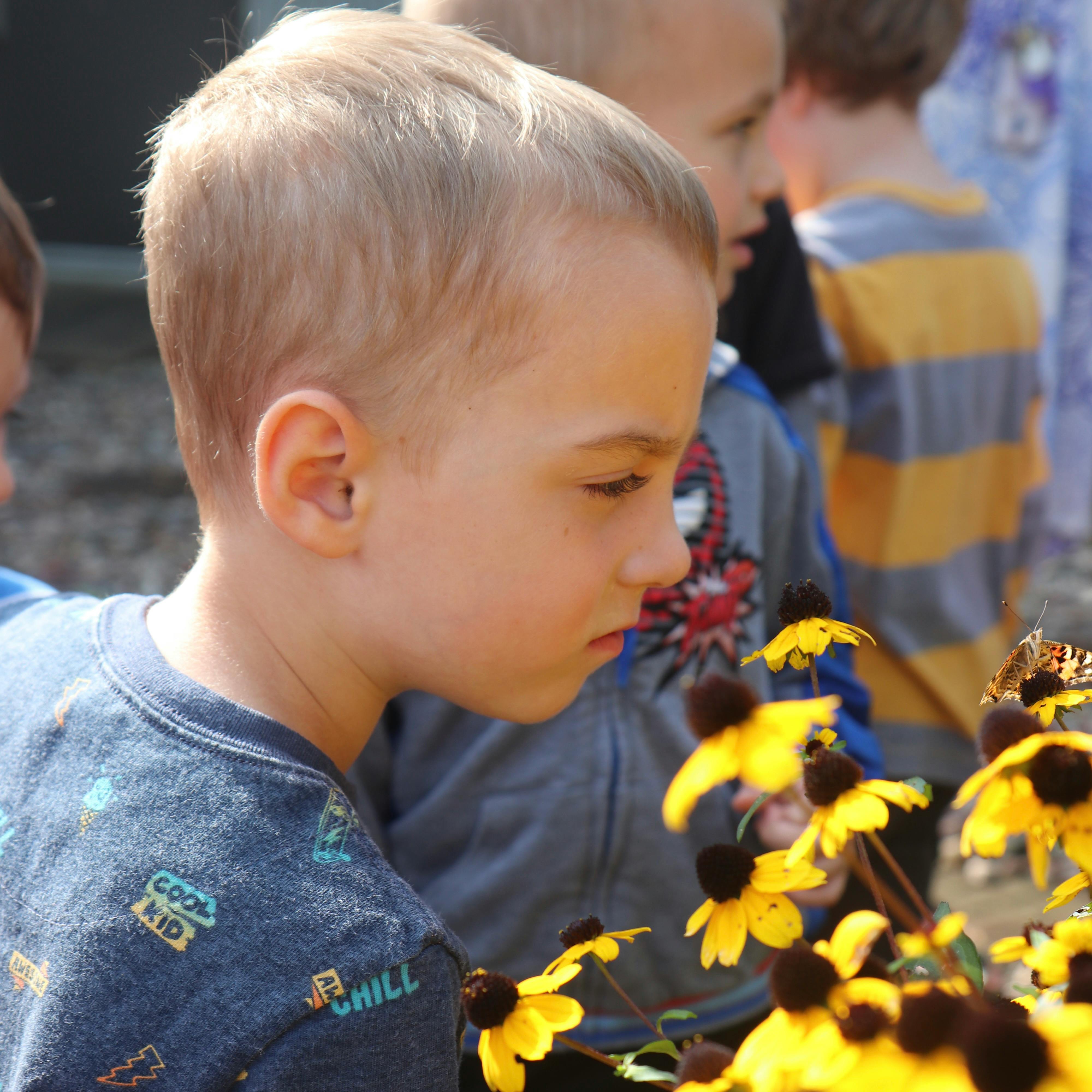 Child looking at yellow flowers