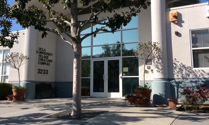Building entrance with glass doors and a tree in front