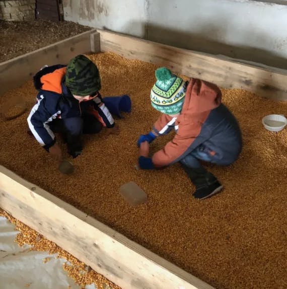 Two children playing in a large bin filled with grain