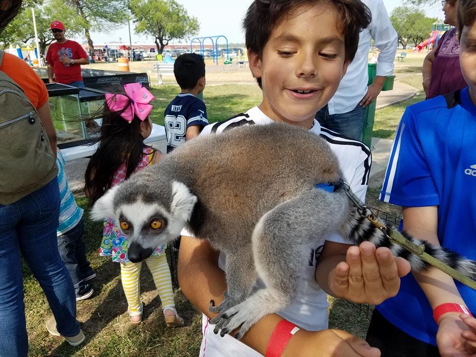 Child holding a lemur