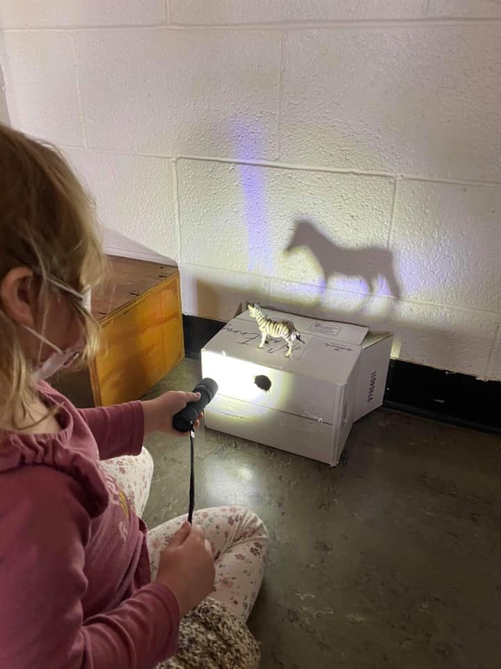 Child holding a flashlight to create a shadow of a toy zebra on a wall