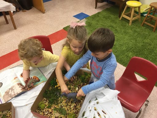 Three children playing with a sensory bin filled with natural materials