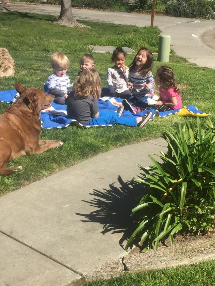 Vetting Family Day Care in Dixon, CA