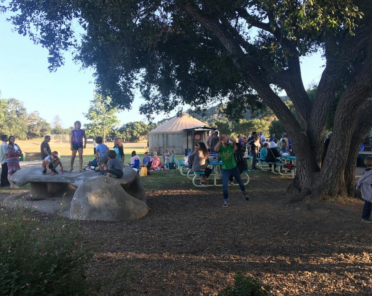 People gathered outdoors under a large tree with a yurt in the background