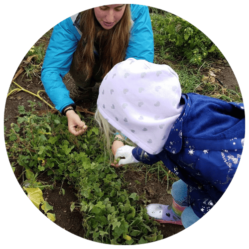 Person and child harvesting plants in a garden