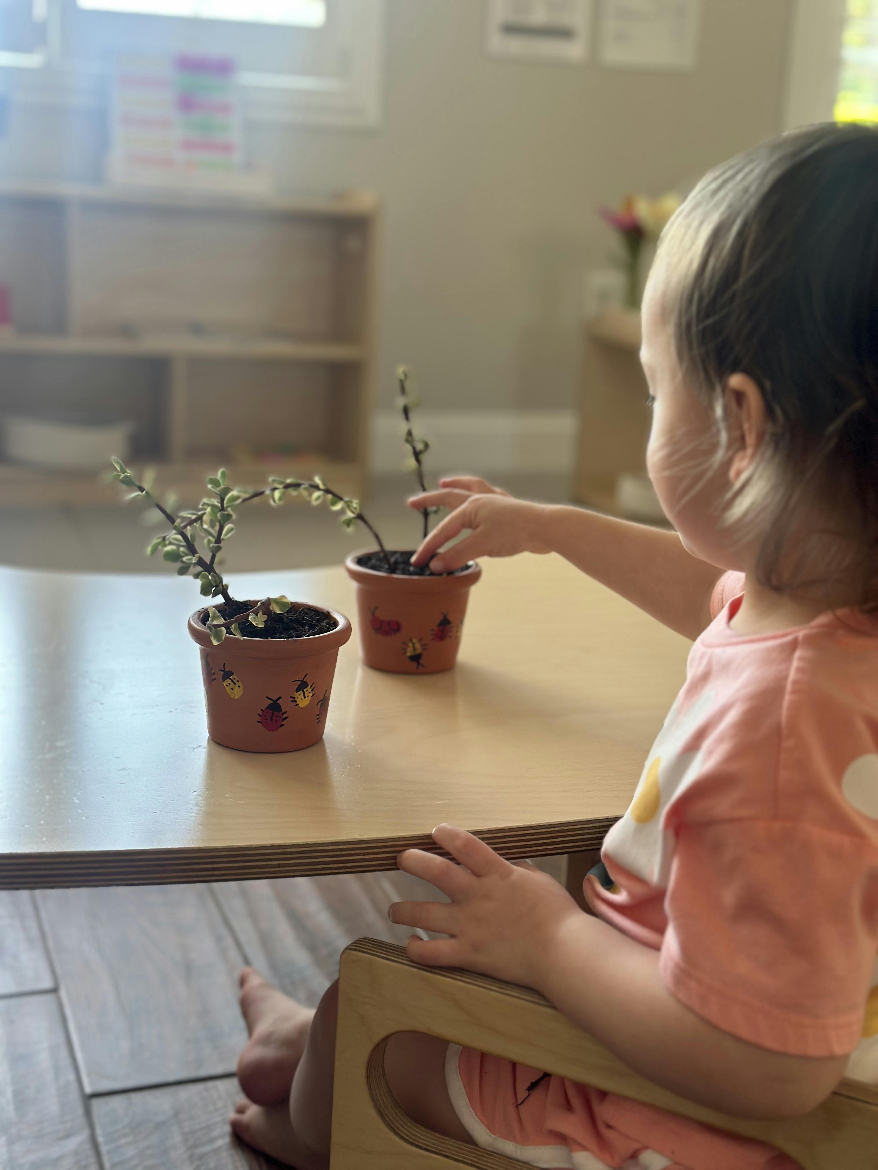 Child in a high chair touching a small plant in a decorated pot on a table