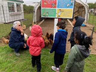 Adult and children looking at chickens in a coop