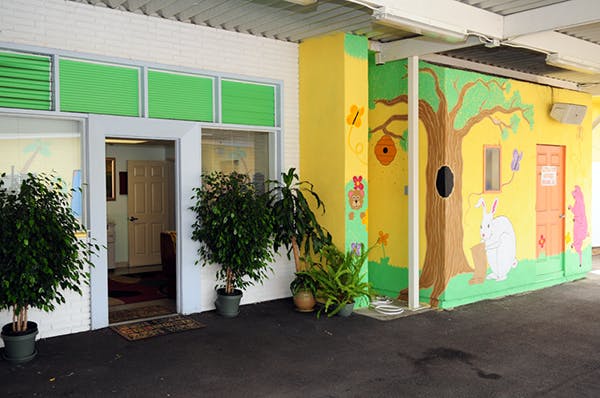 Building exterior with green windows and a wall painted with a tree and rabbit