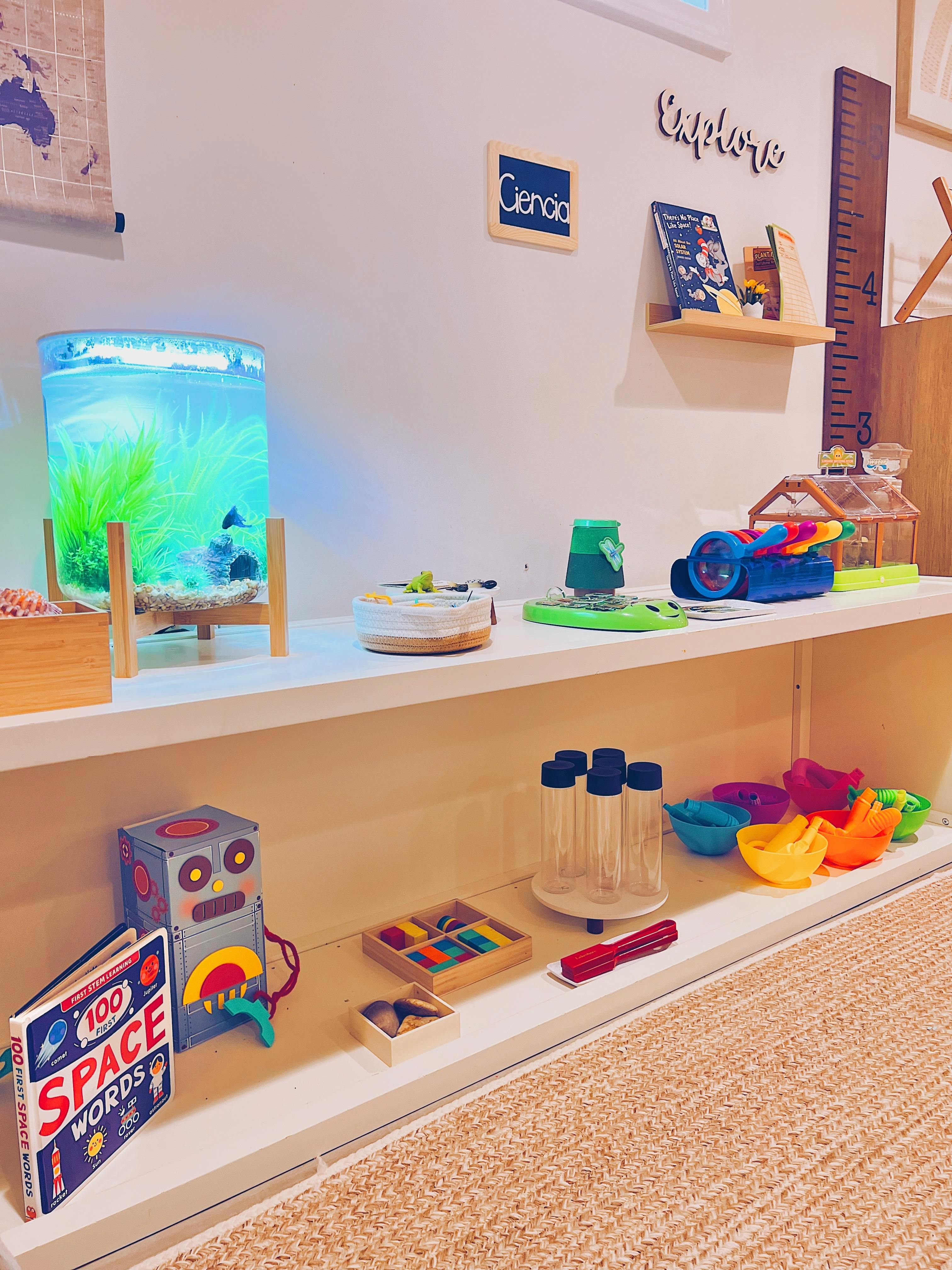 Aquarium and various toys on shelves in a classroom