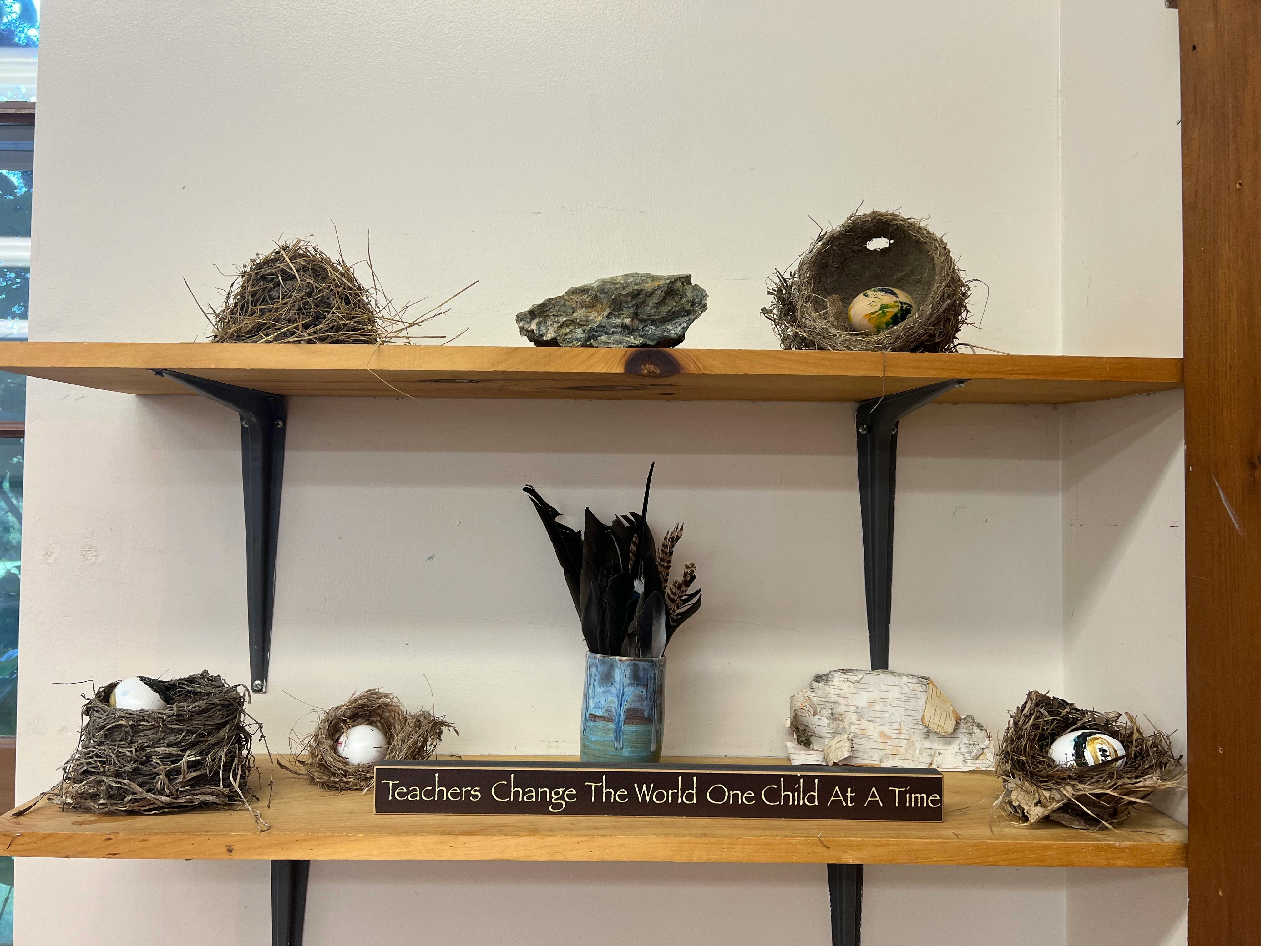 Shelves with bird nests, rocks, and a sign that reads "Teachers Change The World One Child At A Time"