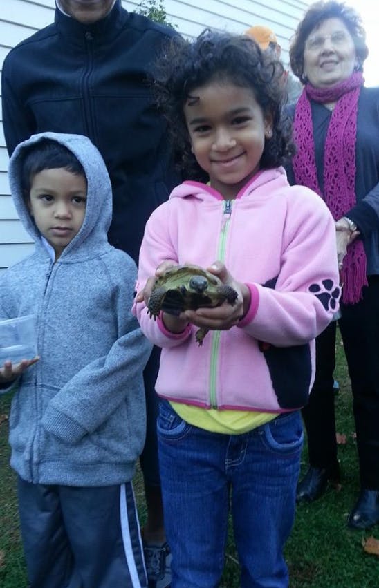 Child holding a turtle, another child standing nearby