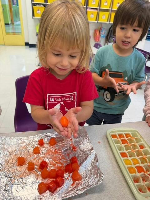 Children playing with small colorful ice cubes in a classroom