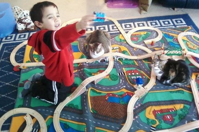 Child playing with a toy train set on a mat with two cats