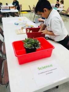 Child at a table with a plant in a red bin and a "Science" sign