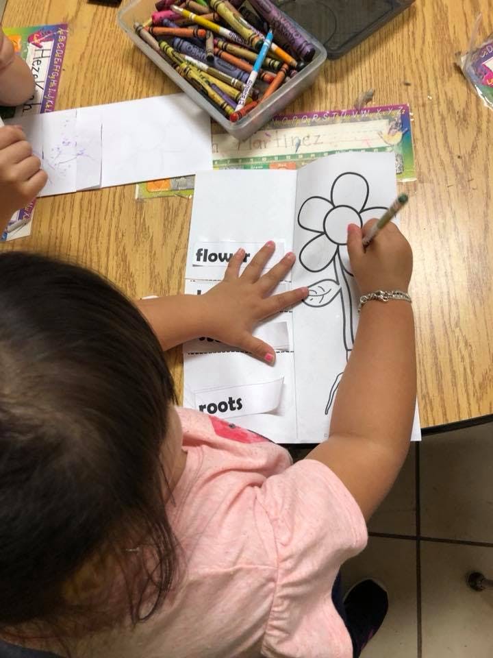 Child coloring a flower drawing on a worksheet