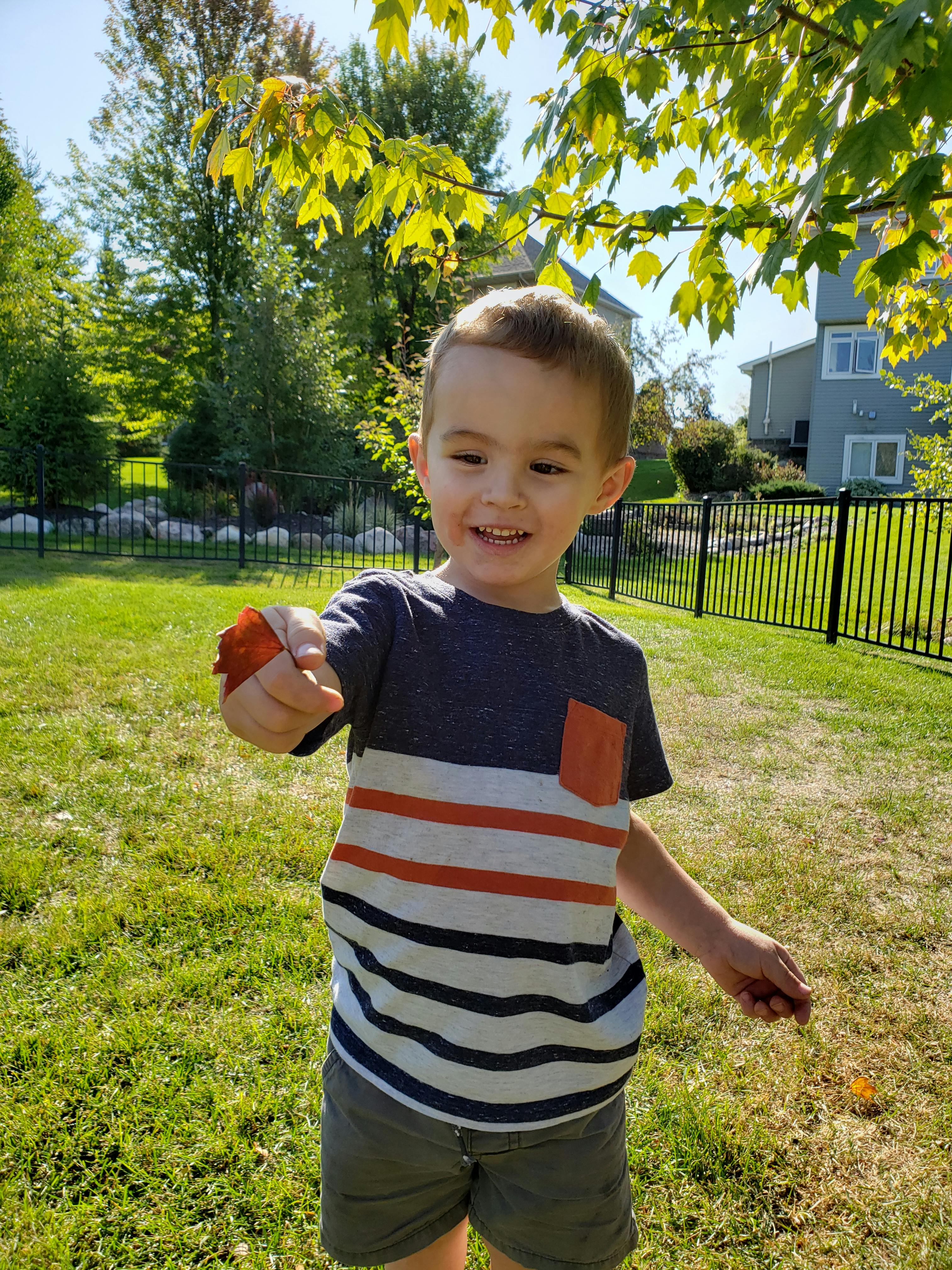 Child holding a small red leaf