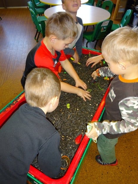 Children playing in a sensory bin with dark material and small objects