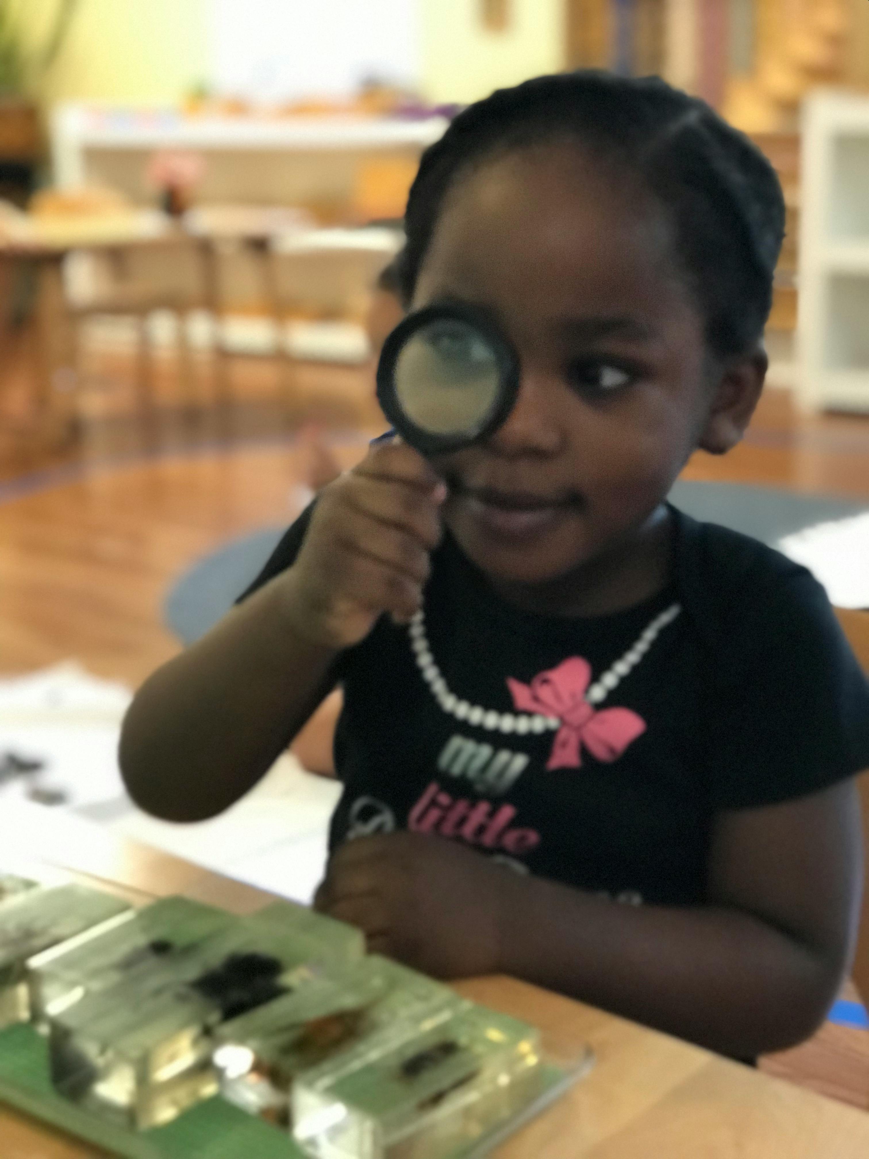 Child looking through a magnifying glass at a display case