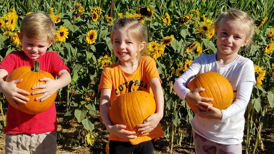Three children holding pumpkins in front of sunflowers