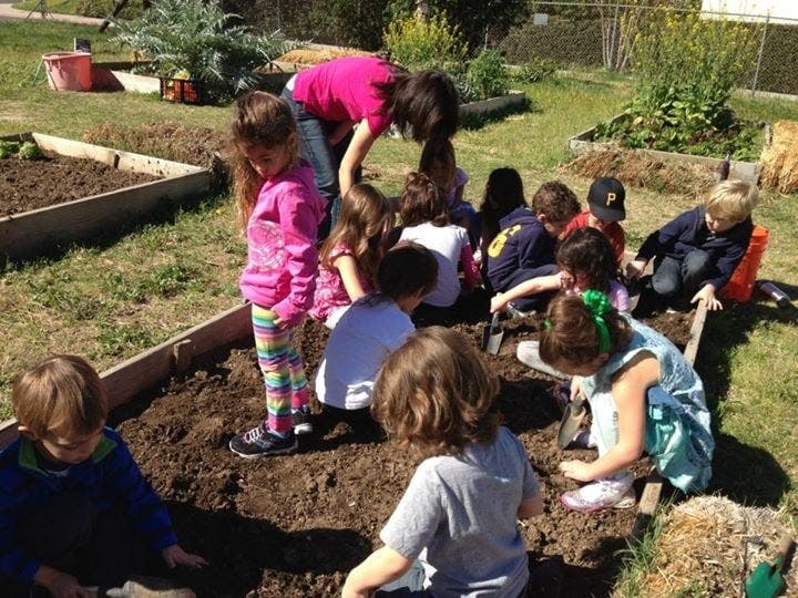 Adult and children gardening in raised beds